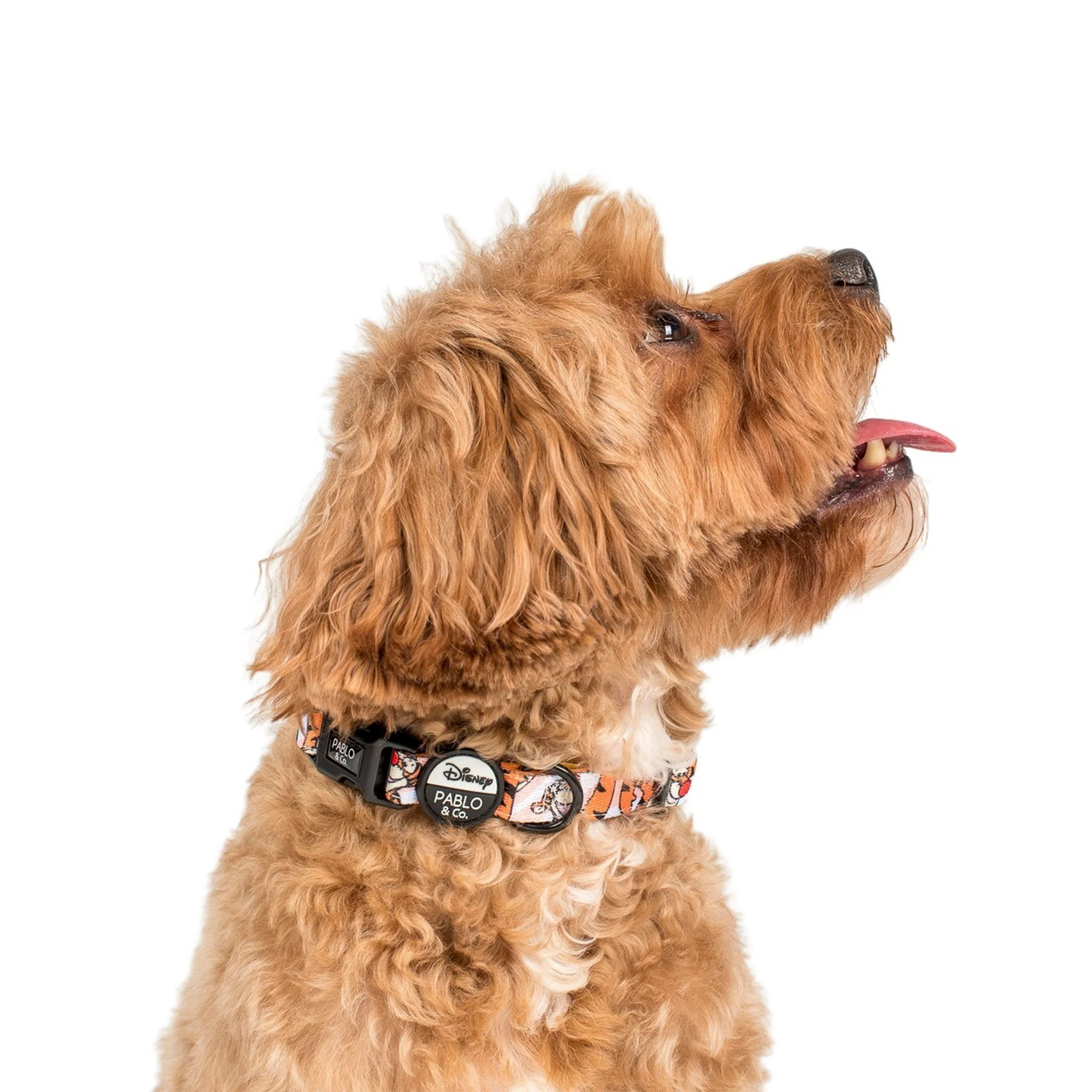 The One of a Kind Tigger: Dog Collar - Image 3