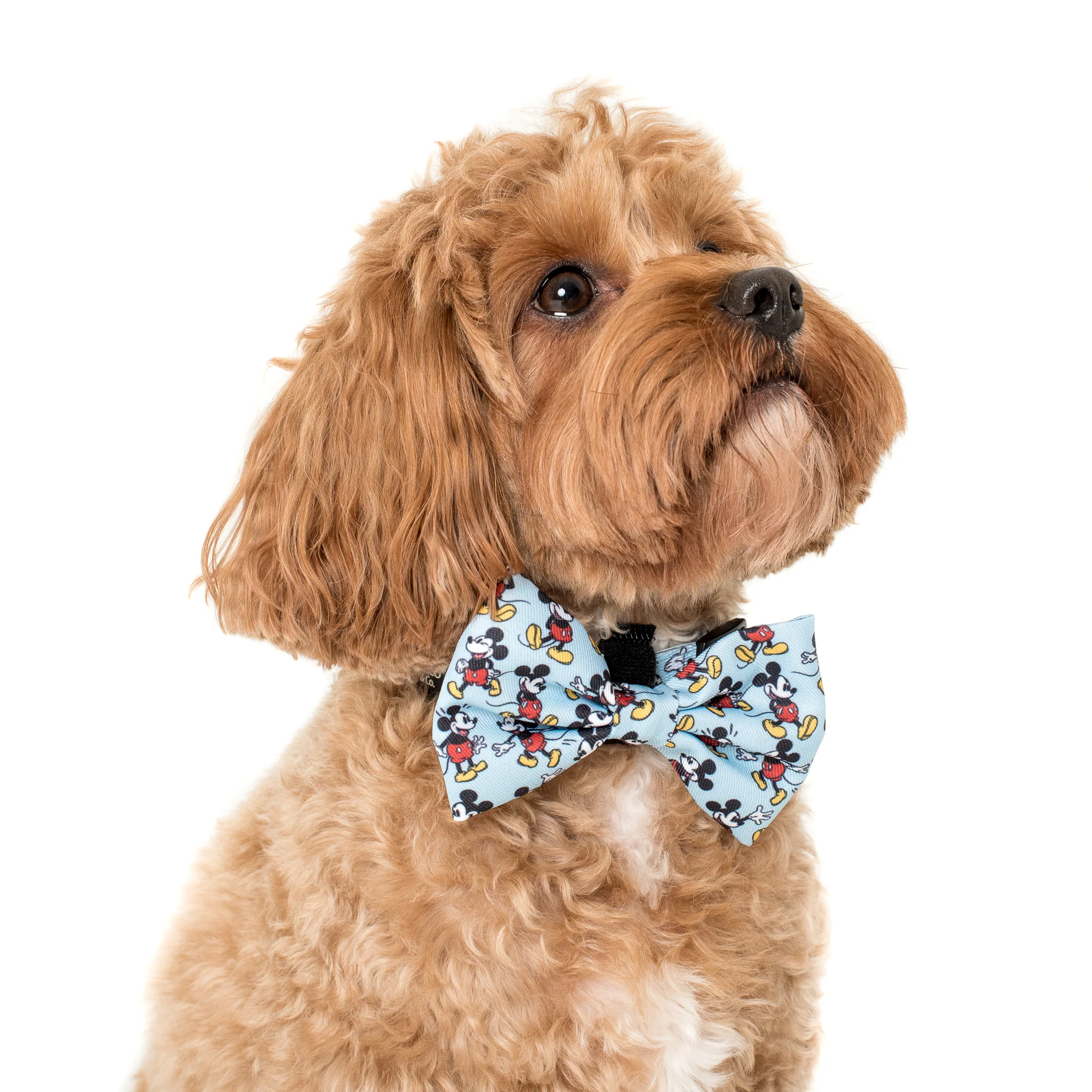 The Original Mickey Mouse: Bow Tie - Image 2