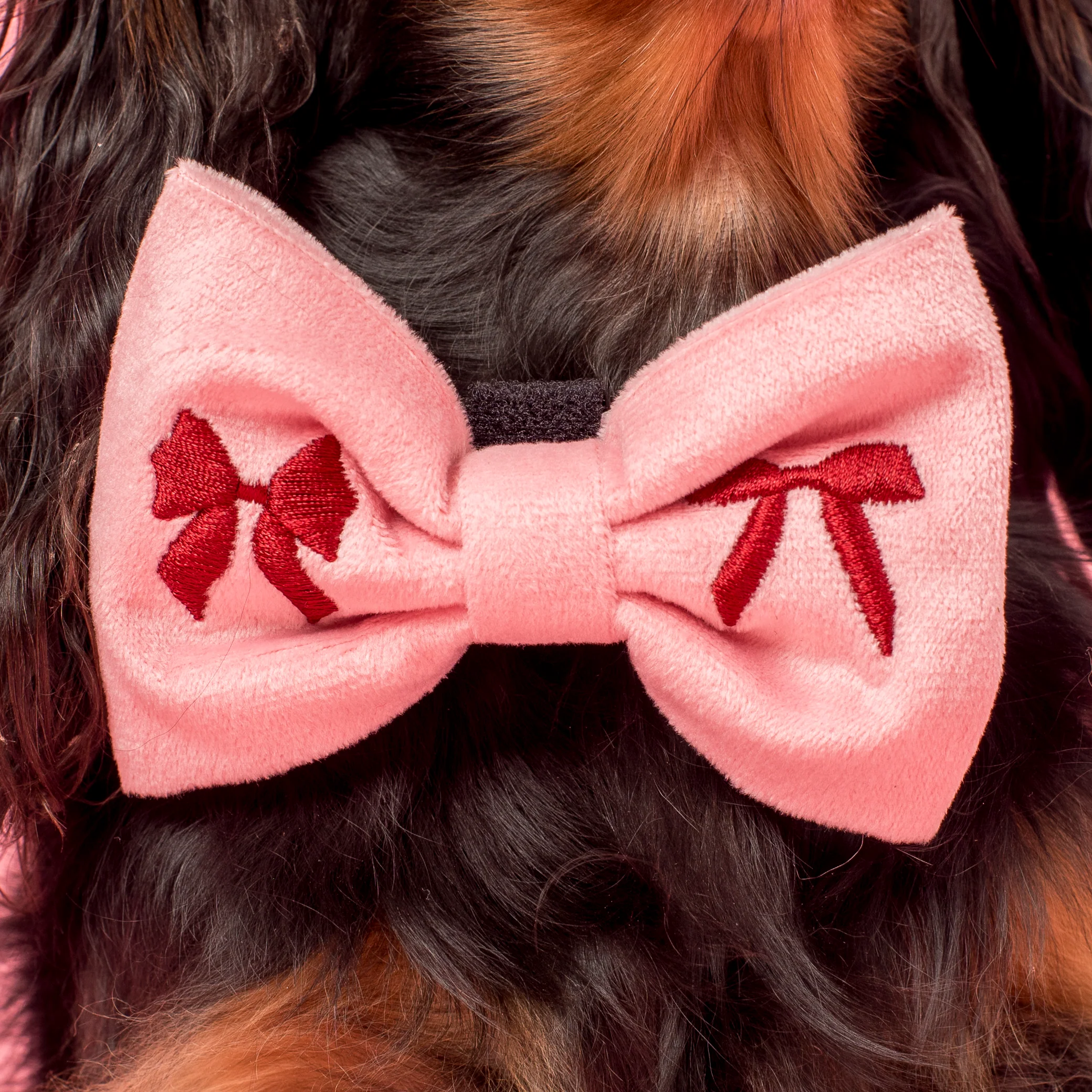 Velvet Blush Bows: Bow Tie - Image 2