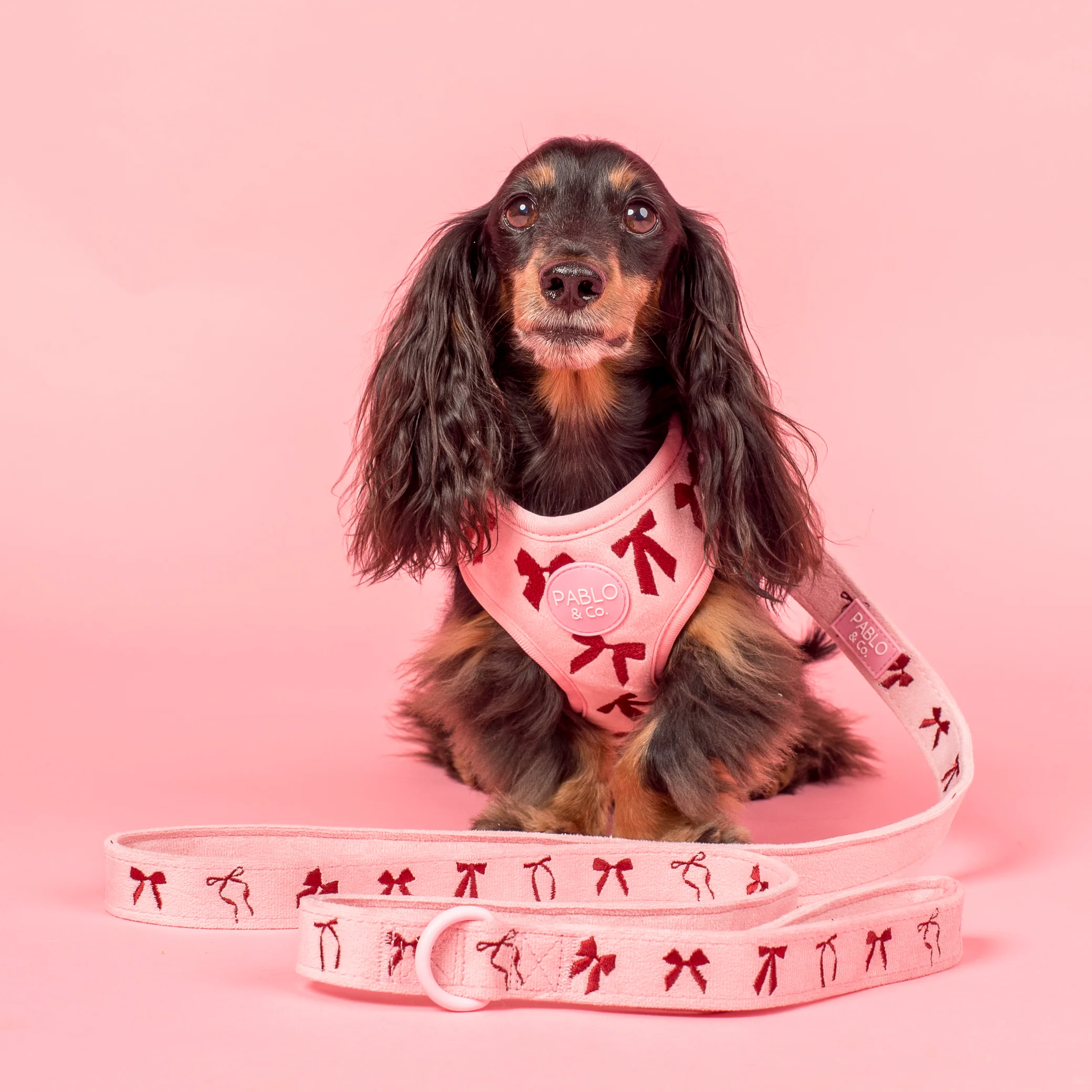 Velvet Blush Bows: Dog Leash
