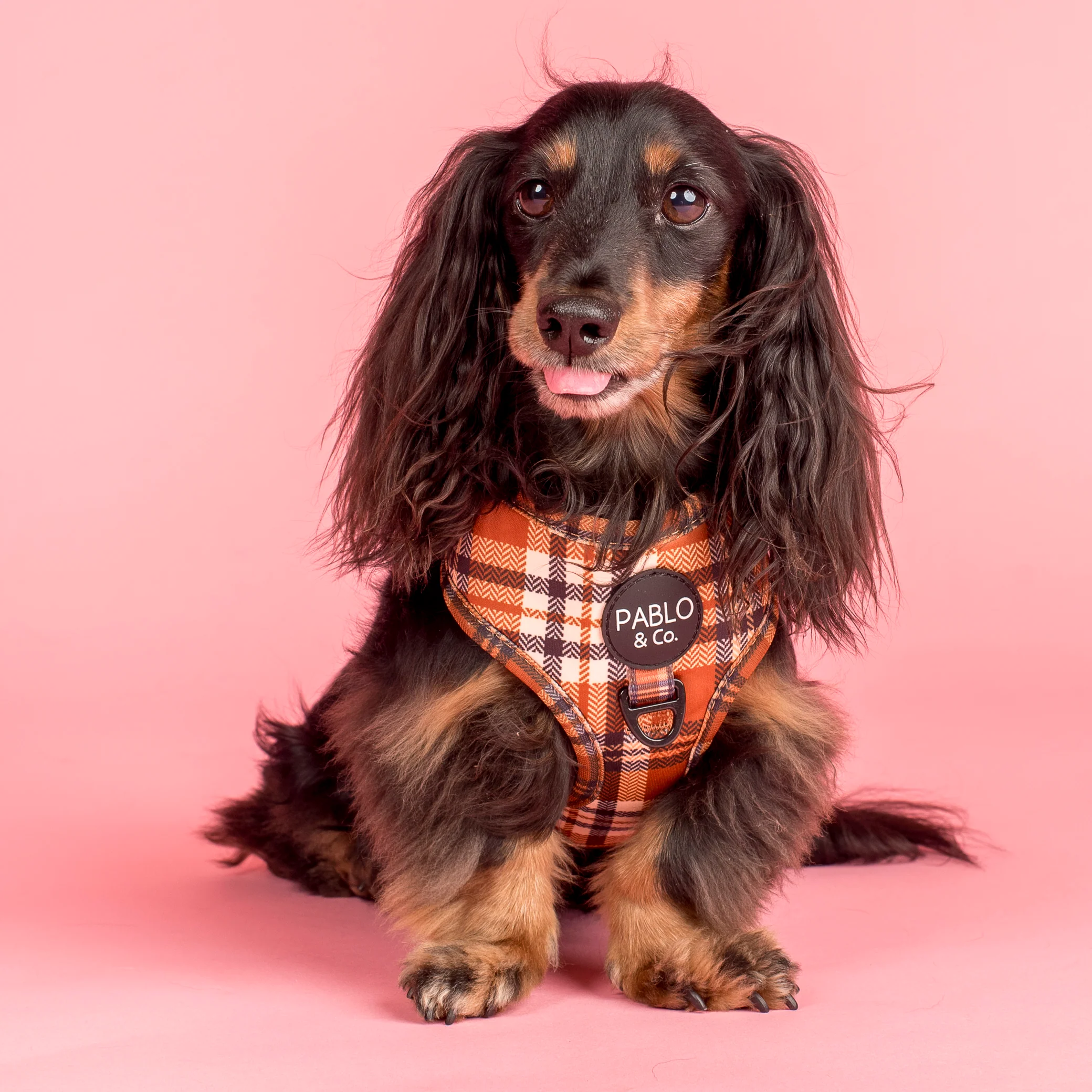 Vintage Plaid: Adjustable Harness