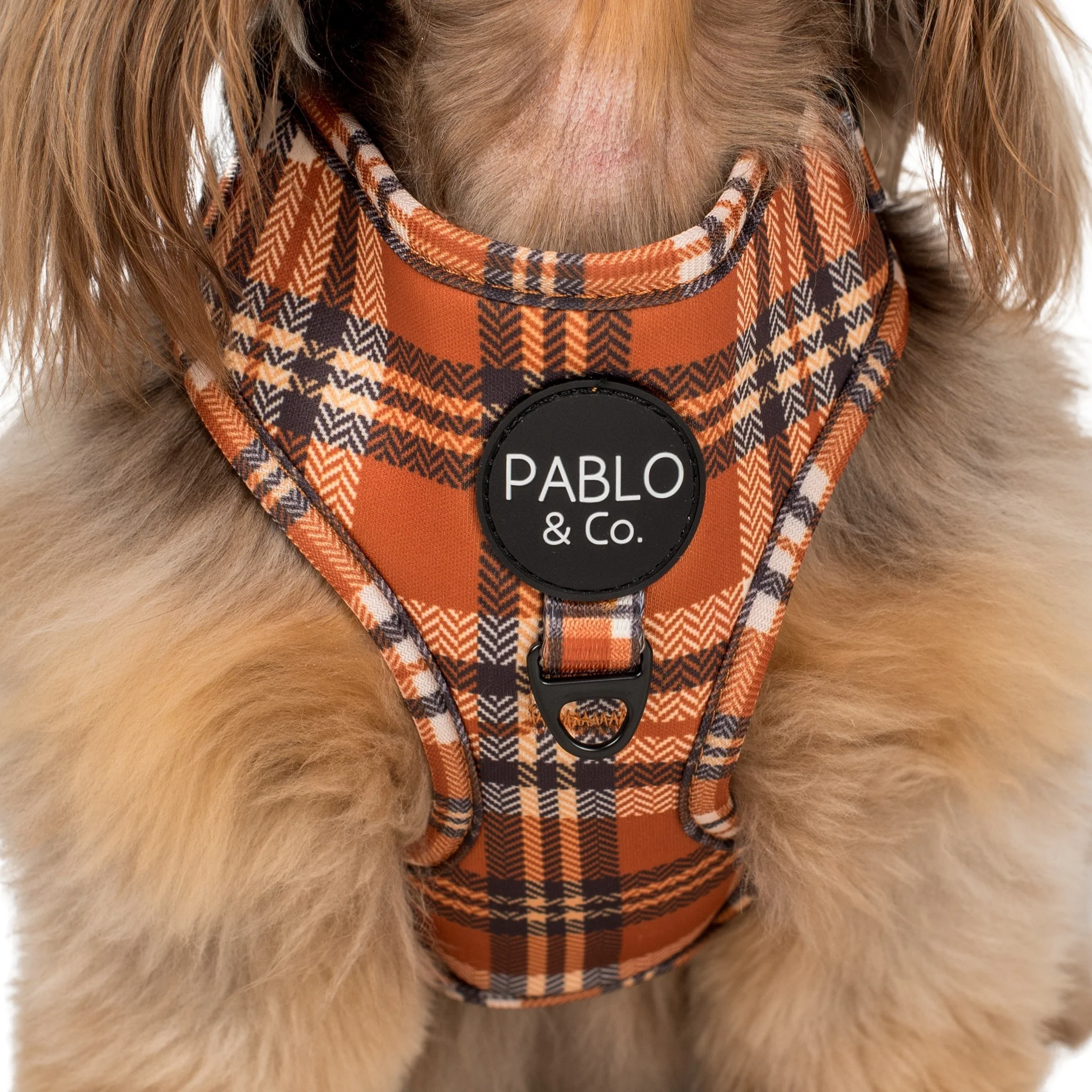 Vintage Plaid: Adjustable Harness - Image 2