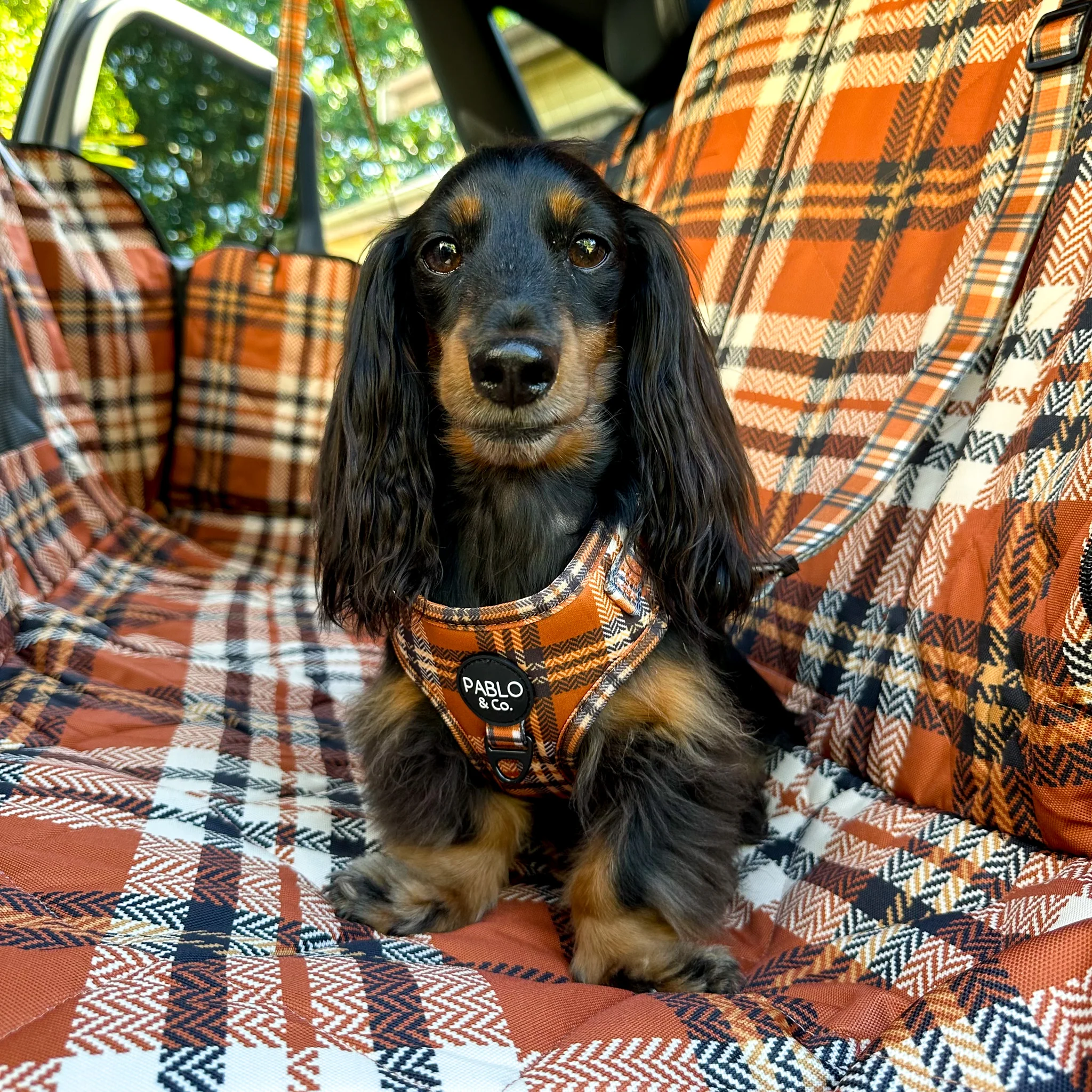 Vintage Plaid: Adjustable Harness - Image 6