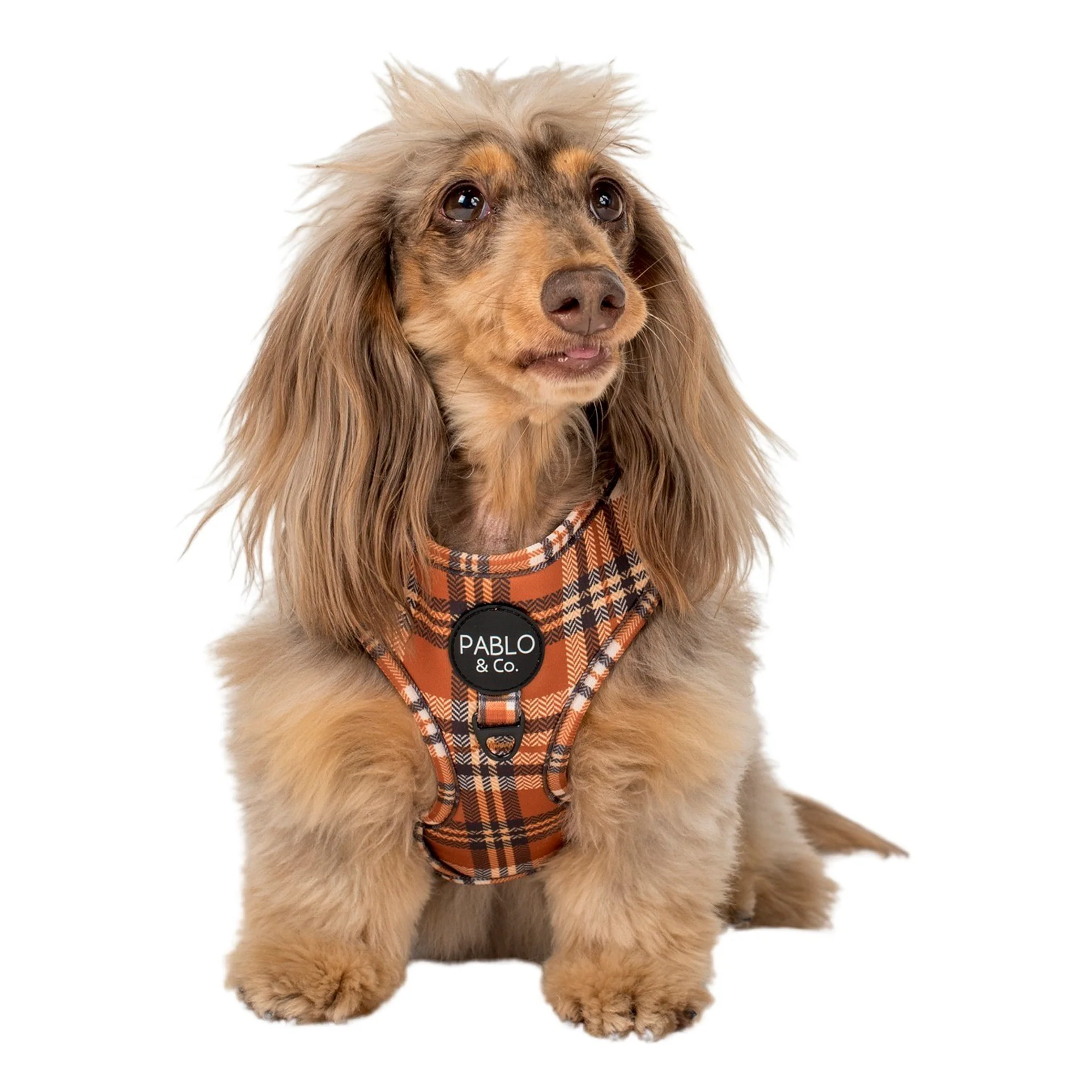 Vintage Plaid: Adjustable Harness - Image 7