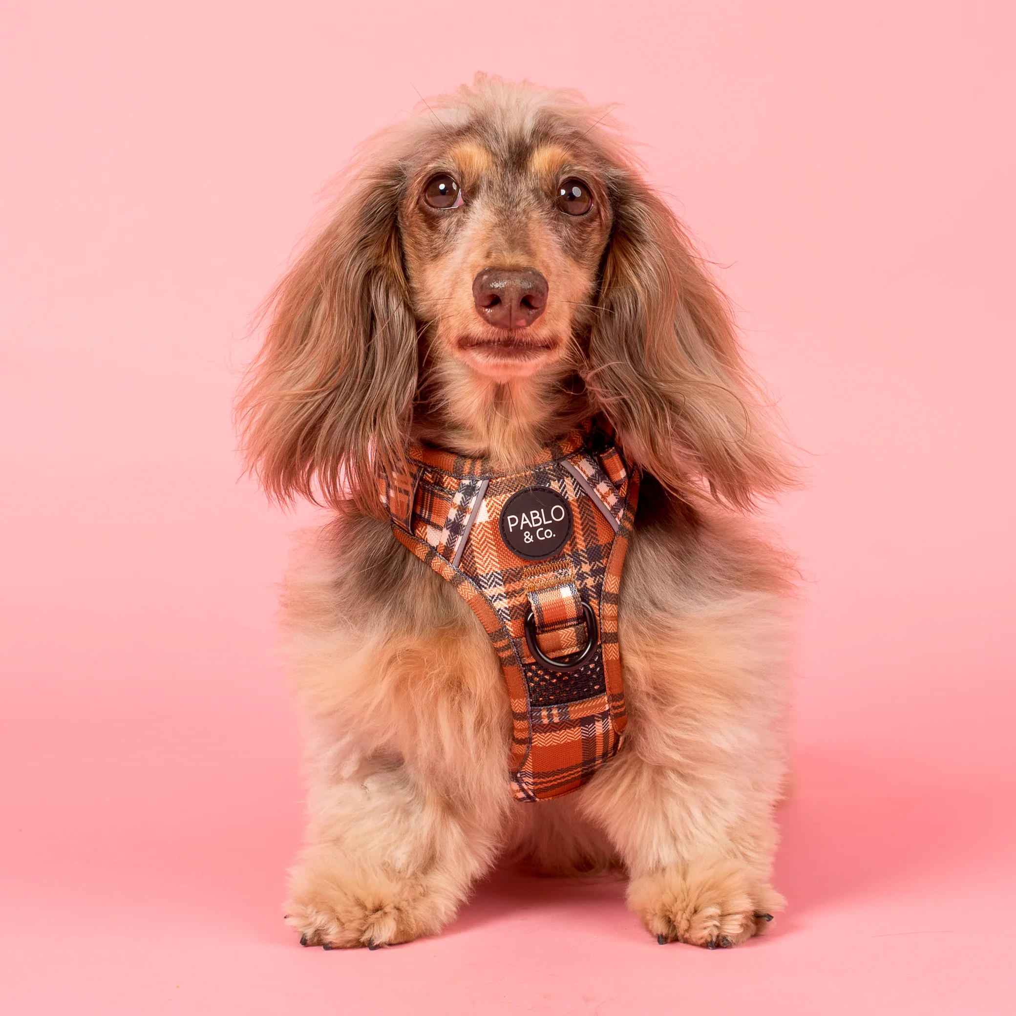 Vintage Plaid: No Pull Adventure Harness