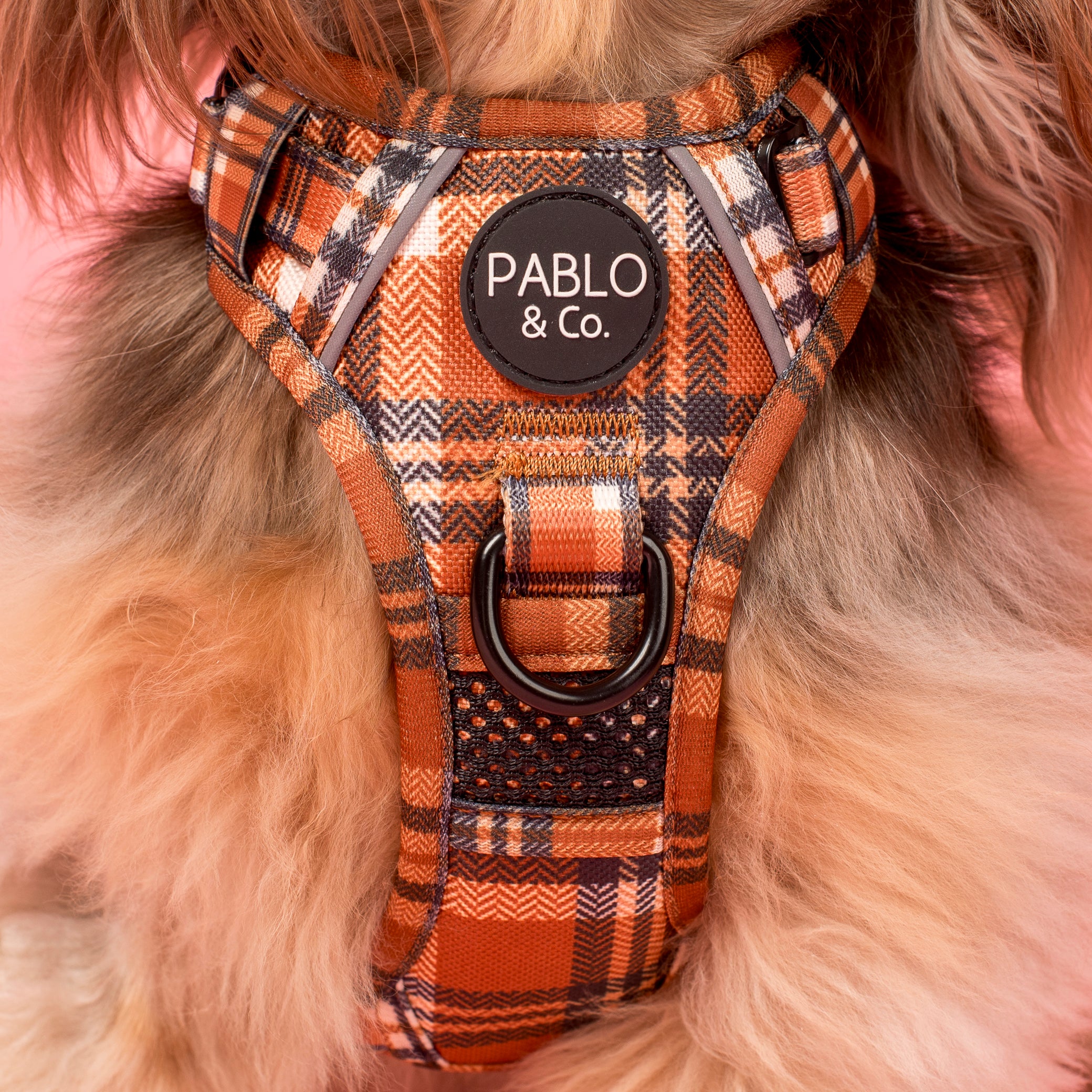 Vintage Plaid: No Pull Adventure Harness - Image 2