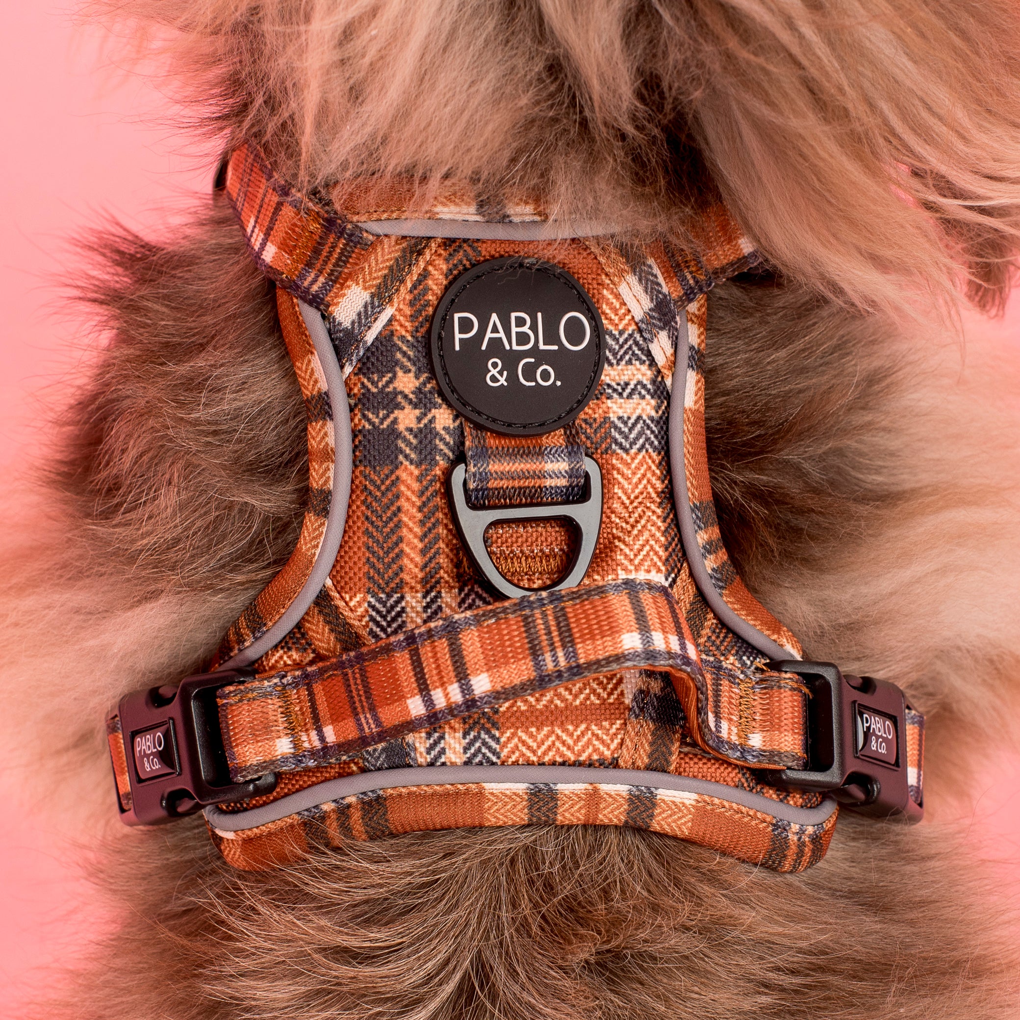 Vintage Plaid: No Pull Adventure Harness - Image 3