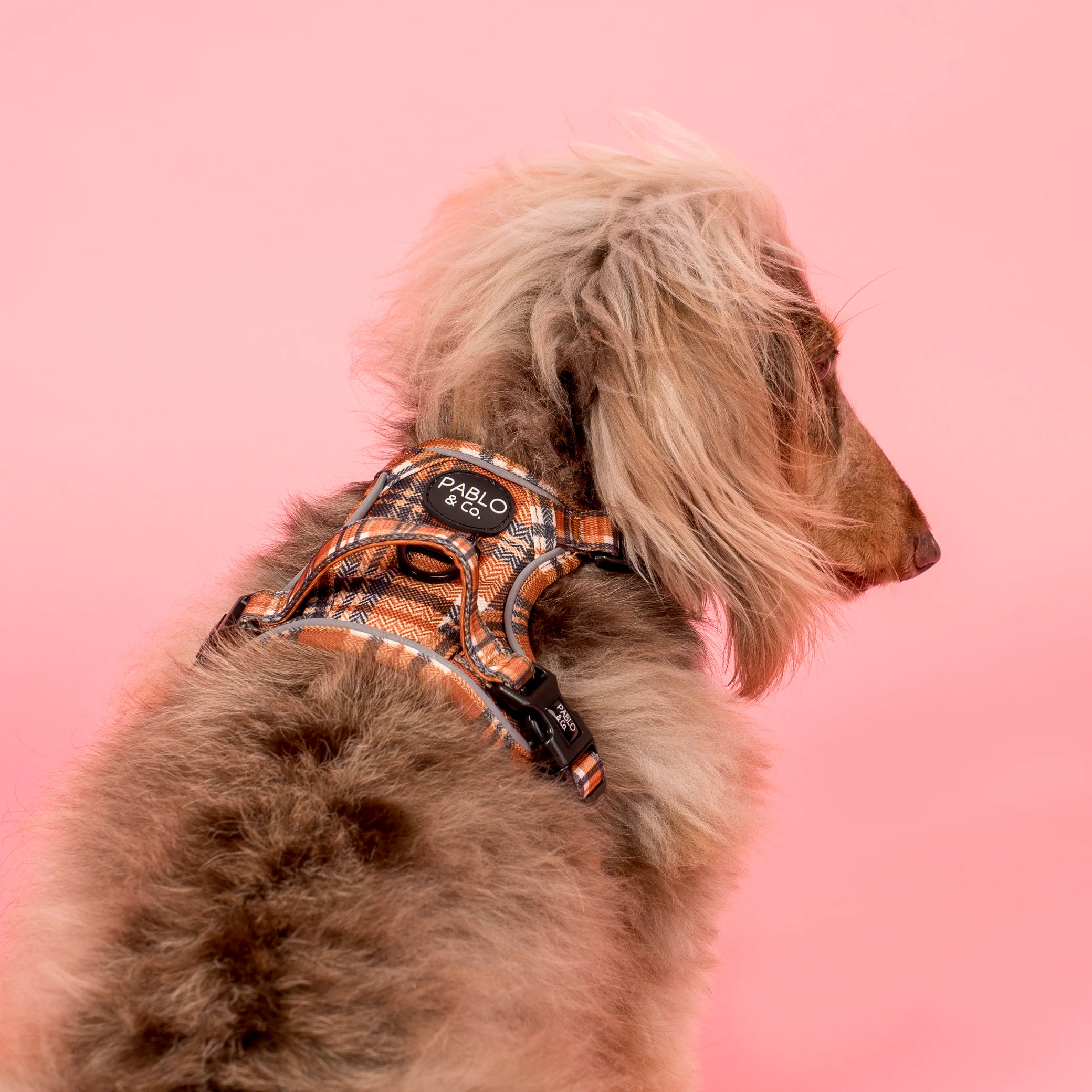 Vintage Plaid: No Pull Adventure Harness - Image 4