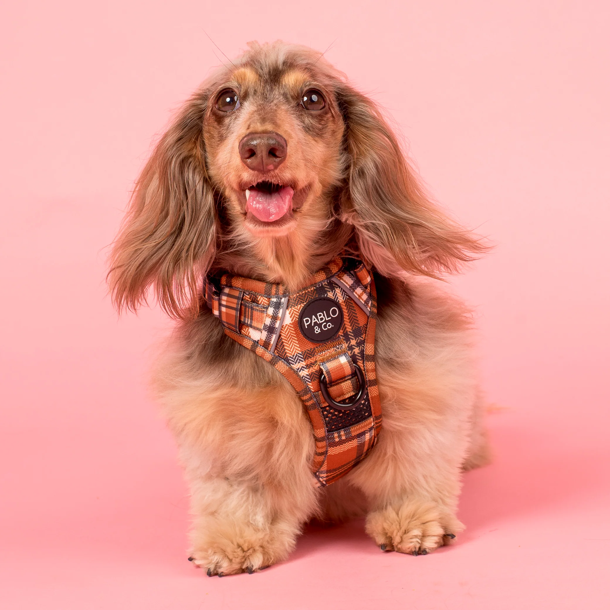 Vintage Plaid: No Pull Adventure Harness - Image 6