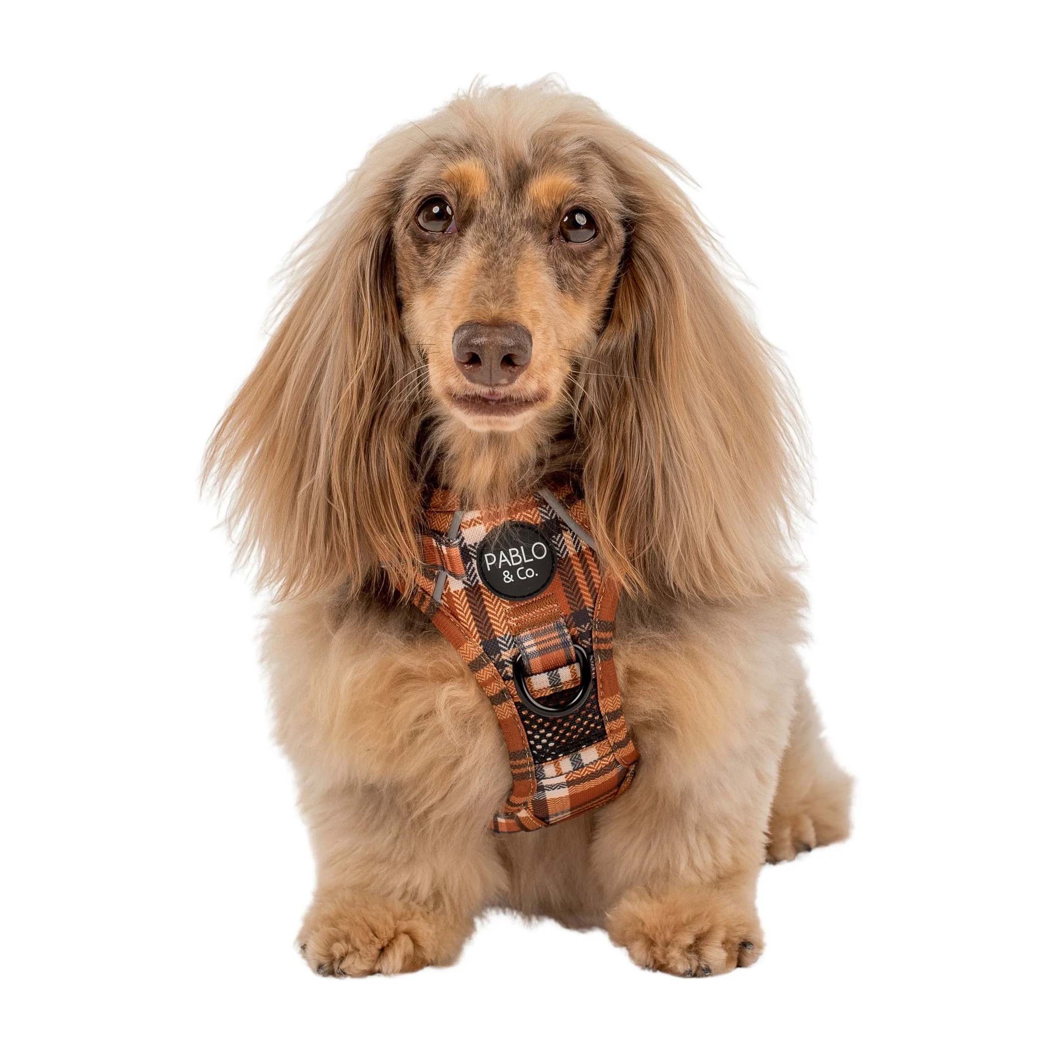 Vintage Plaid: No Pull Adventure Harness - Image 7