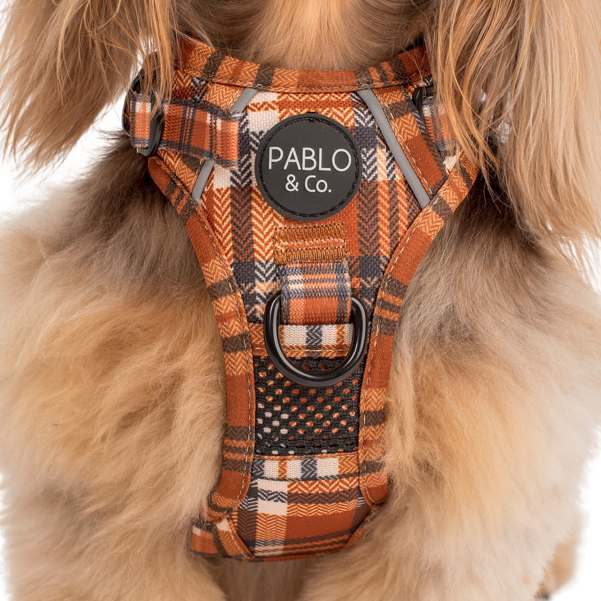 Vintage Plaid: No Pull Adventure Harness - Image 8