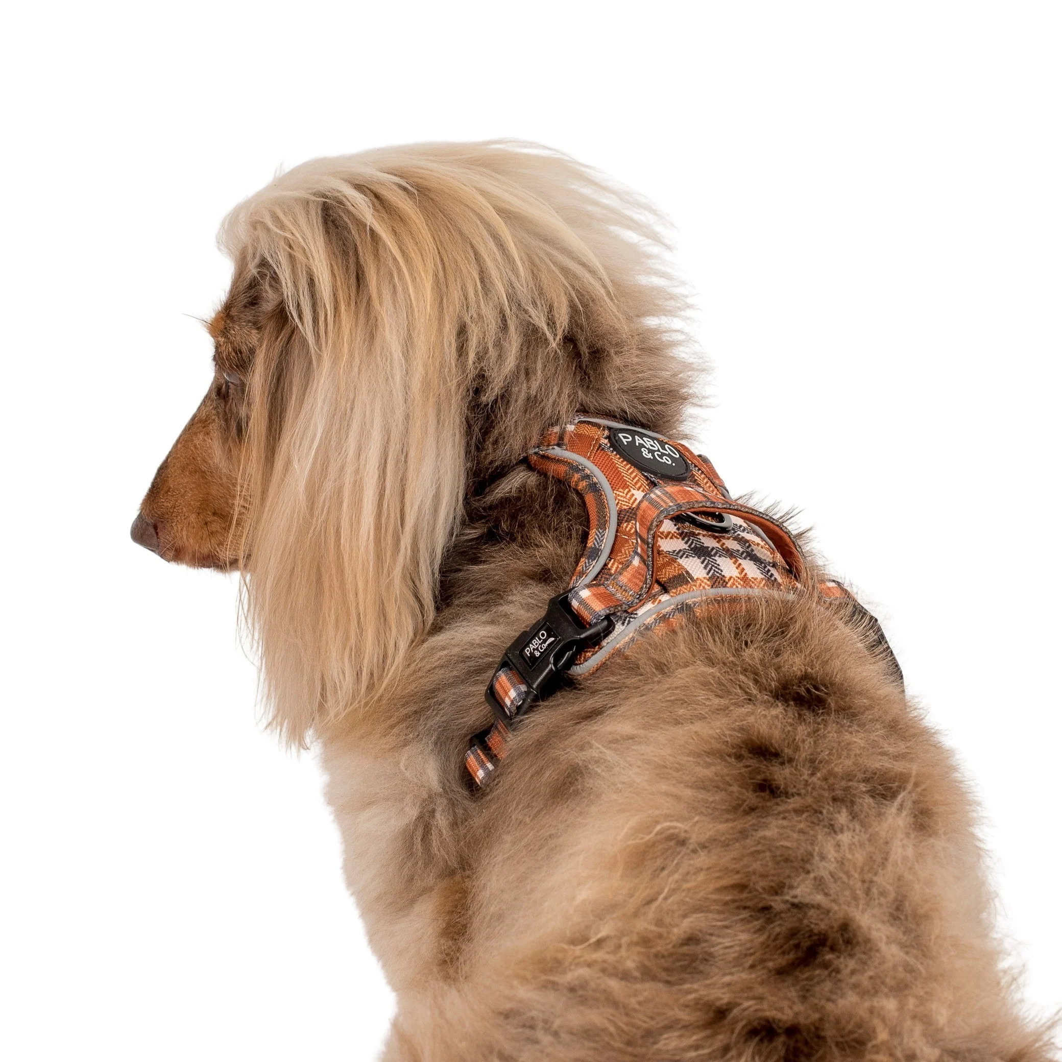Vintage Plaid: No Pull Adventure Harness - Image 9