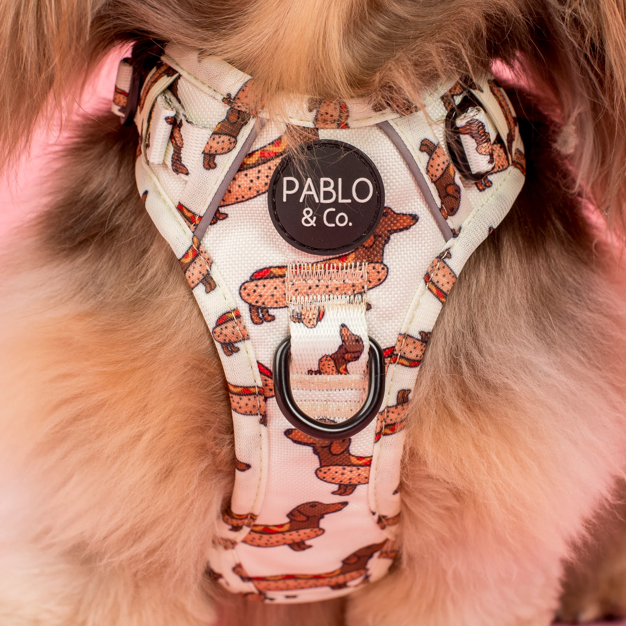 Wiener Dogs: No Pull Adventure Harness - Image 2