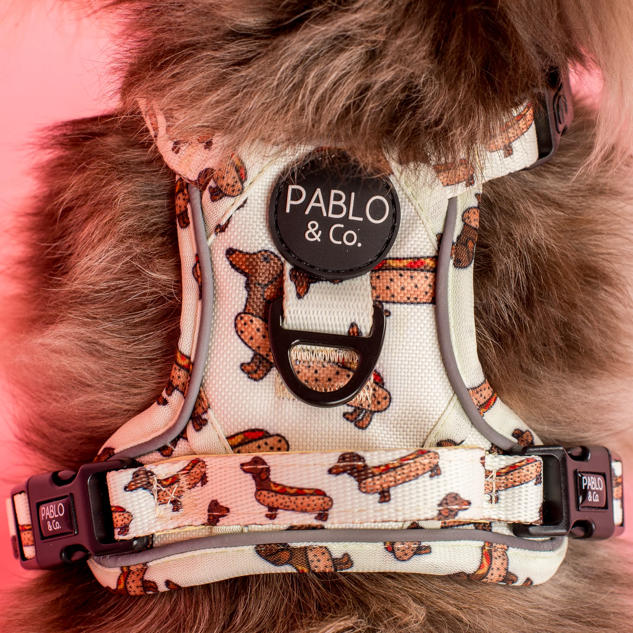 Wiener Dogs: No Pull Adventure Harness - Image 4