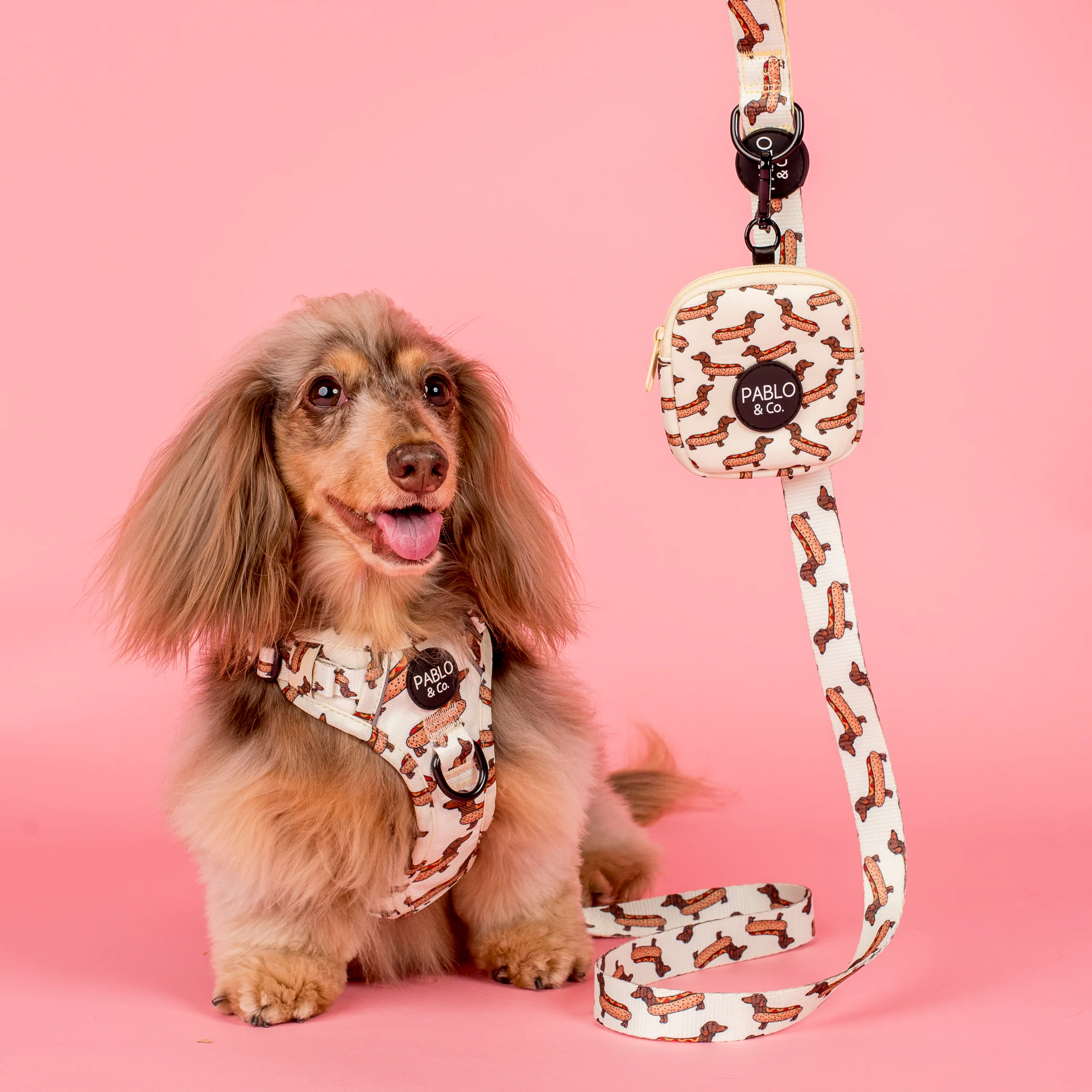 Wiener Dogs: No Pull Adventure Harness - Image 5