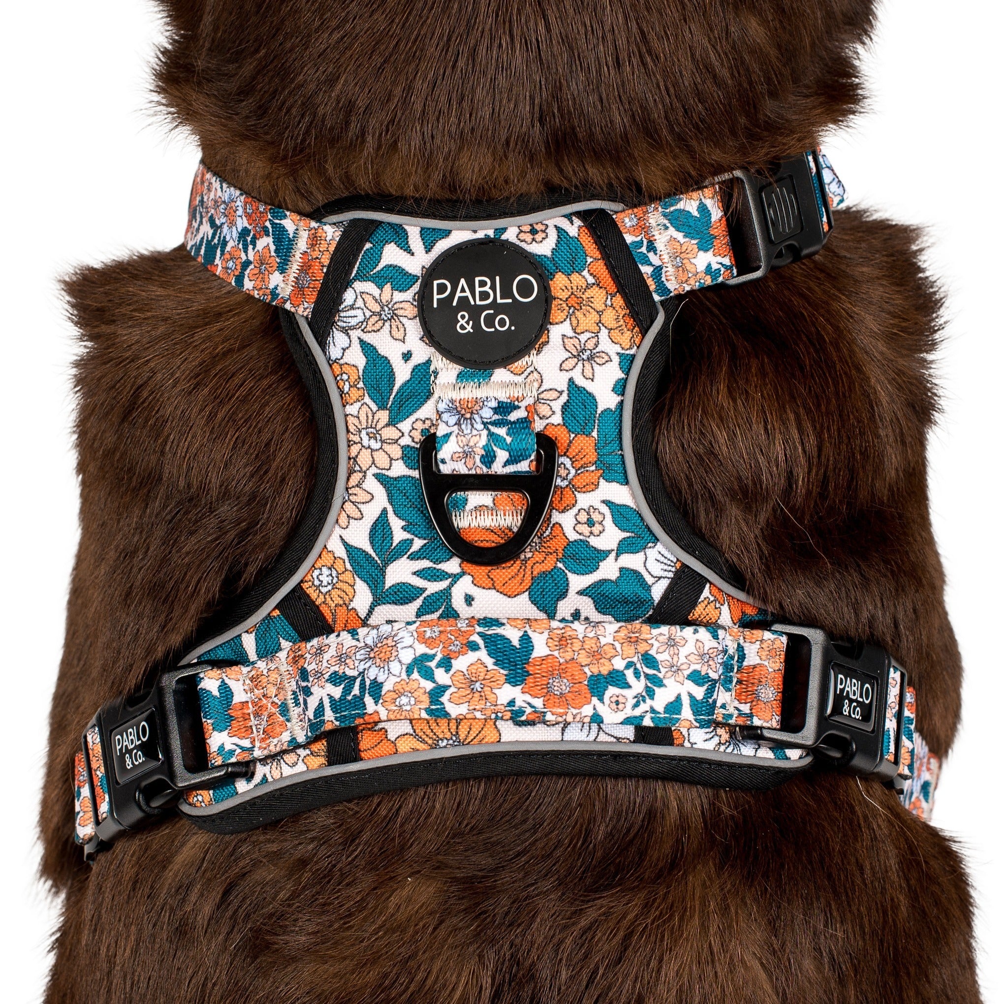 Wildflowers: No Pull Adventure Harness - Image 4
