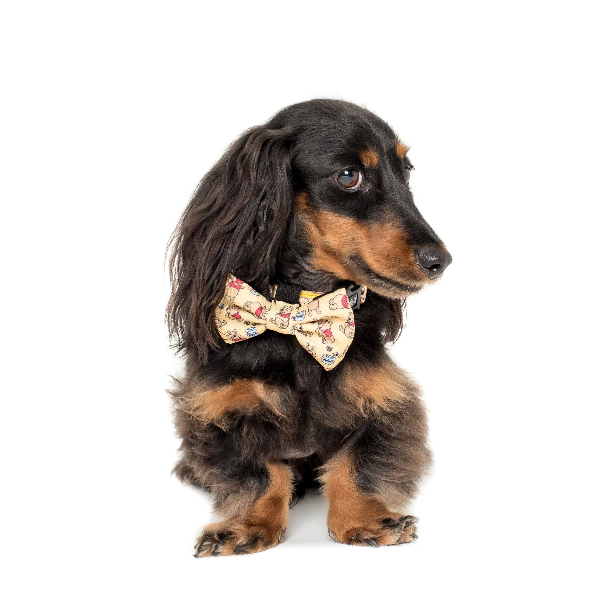 Winnie the Pooh & Bee's: Bow Tie - Image 3