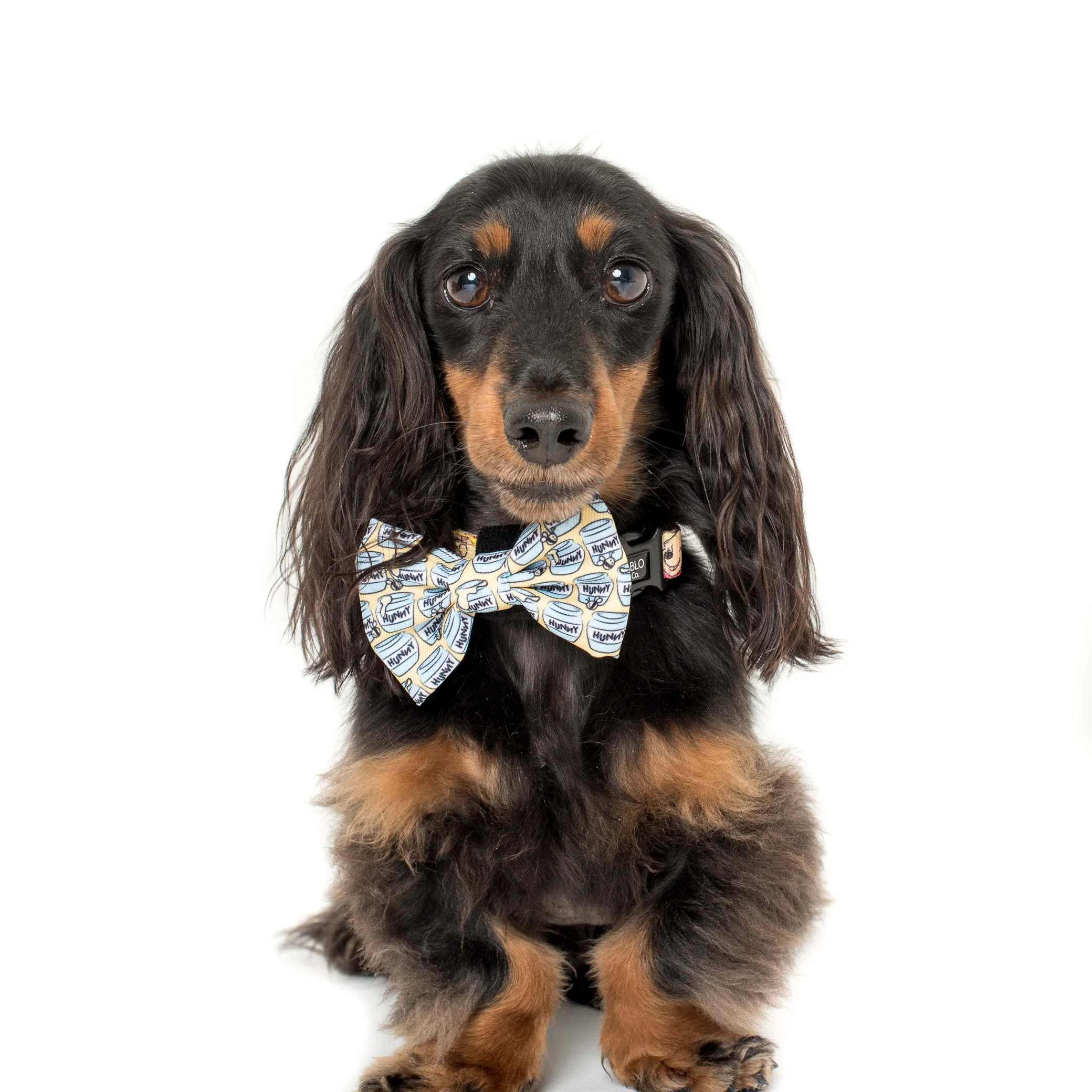 Winnie the Pooh Hunny Pot: Bow Tie - Image 3