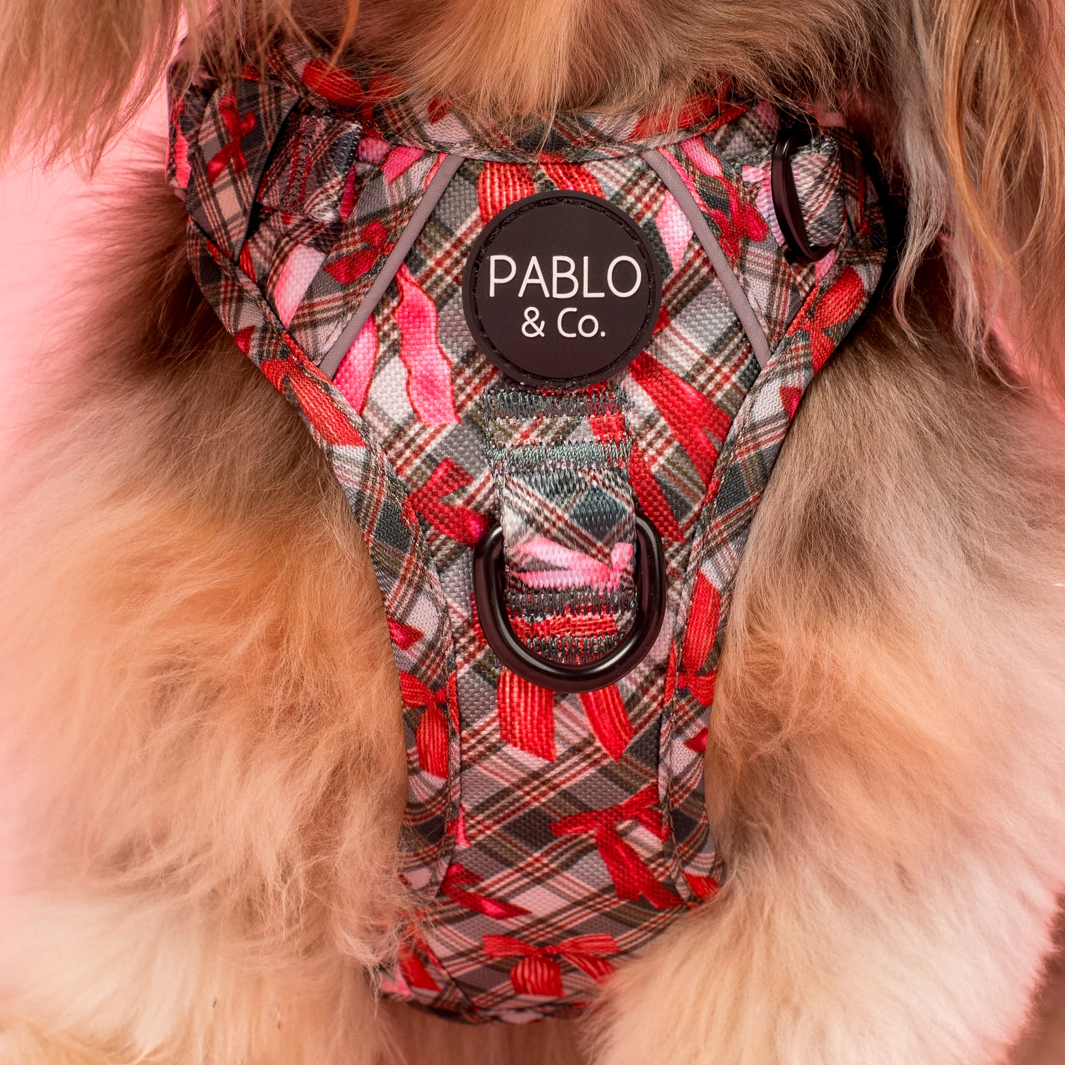 Wrapped in Ribbons: No Pull Adventure Harness - Image 2