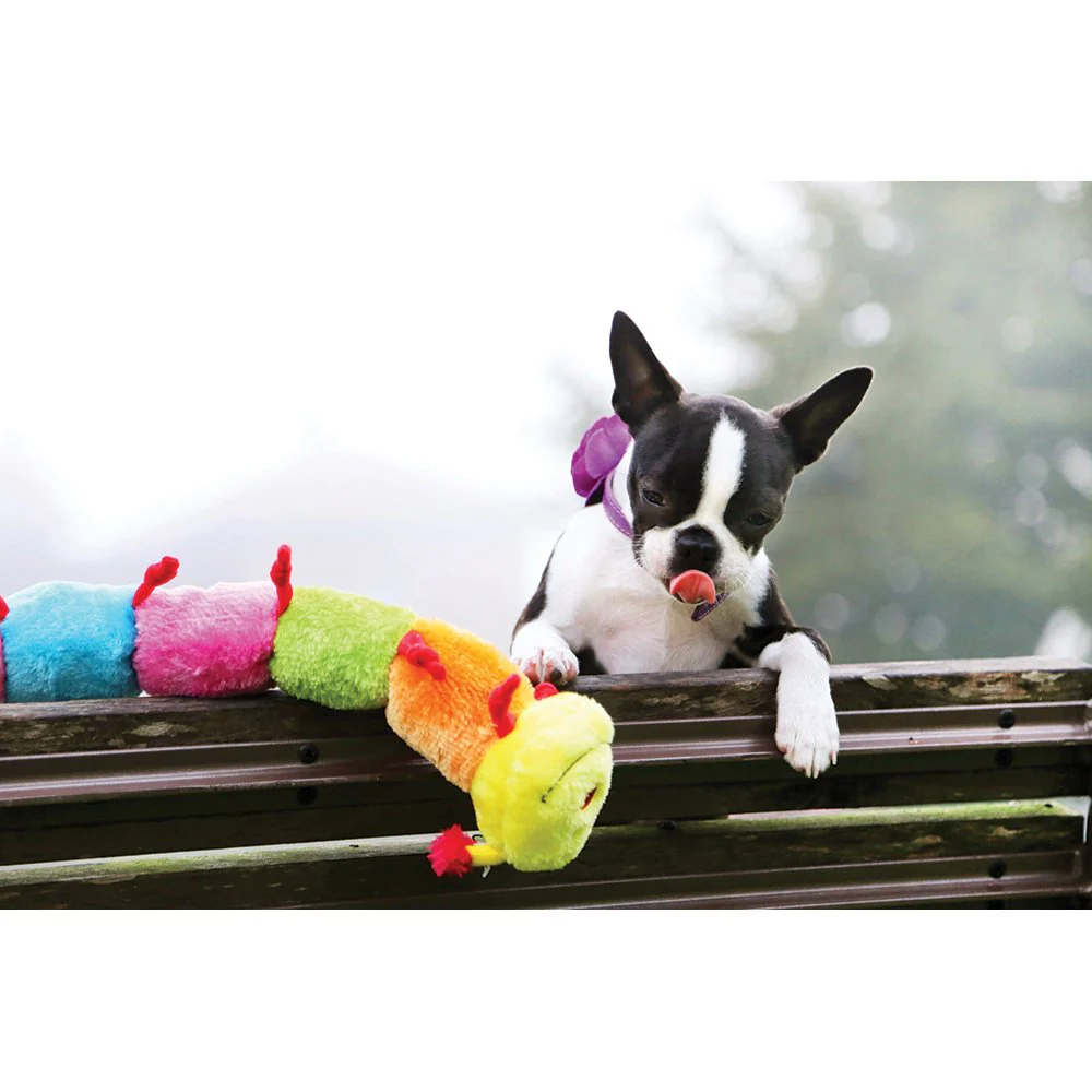 Zippy Paws: Colourful Caterpillar - Image 3